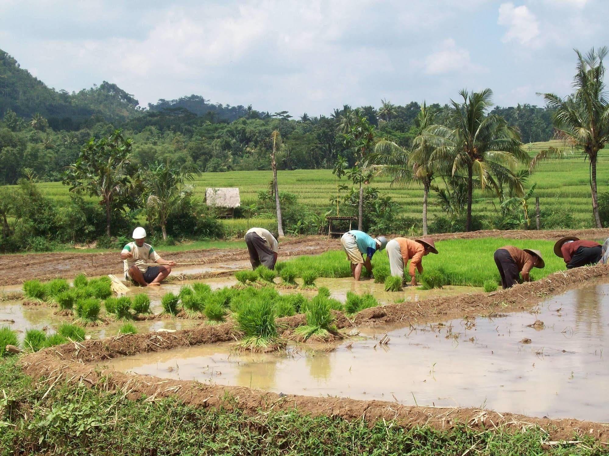 Bakung Ubud Resort And Villa Εξωτερικό φωτογραφία